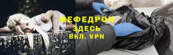 шишки Инта