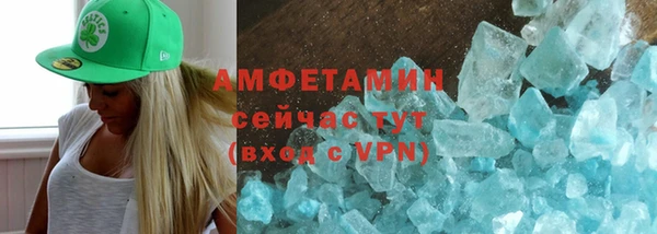шишки Инта