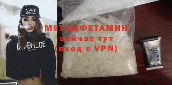 шишки Инта