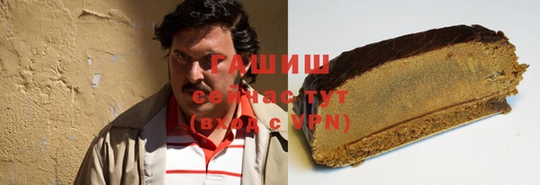 шишки Инта