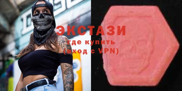 шишки Инта