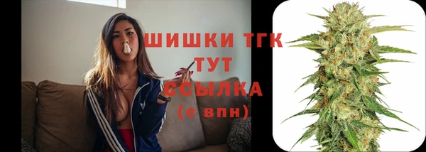 шишки Инта
