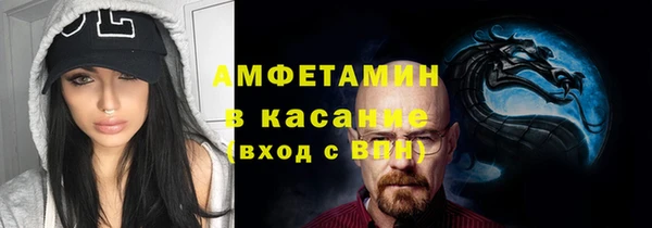 шишки Инта