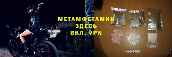 шишки Инта