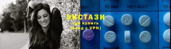 шишки Инта
