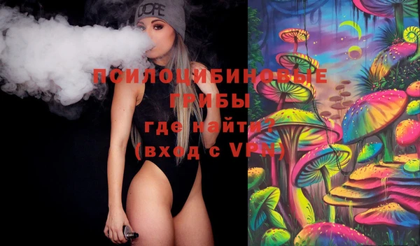 шишки Инта