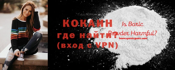 шишки Инта