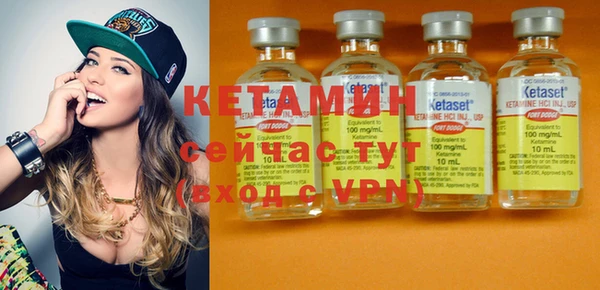 шишки Инта
