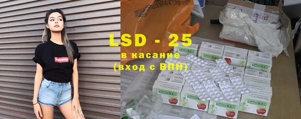 шишки Инта