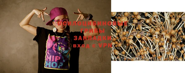 трава Инсар