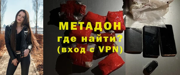 шишки Инта